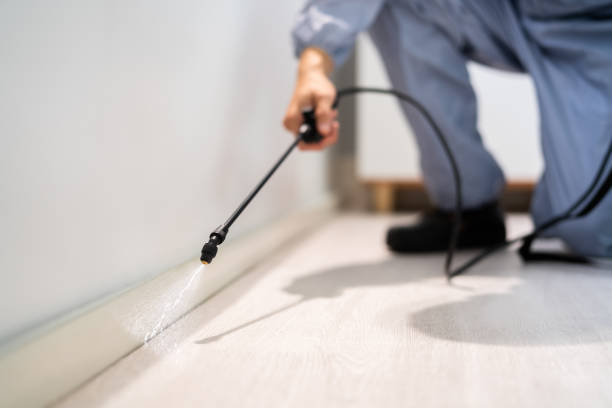 Certified termite inspector examining foundation in Clay Center