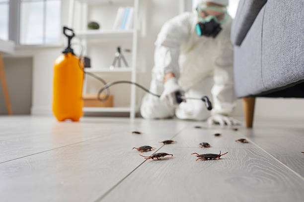 Commercial Kitchen Cockroach Control in Clay Center